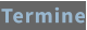 Termine